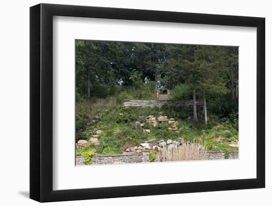 Sibley Park Gardens and Trails-jrferrermn-Framed Photographic Print