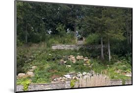 Sibley Park Gardens and Trails-jrferrermn-Mounted Photographic Print