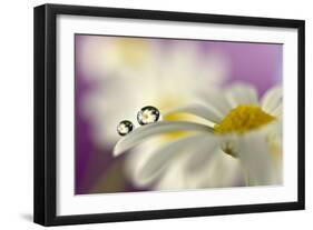 Siblings Drops-Heidi Westum-Framed Photographic Print