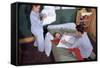 Siblings Having Pillow Fight-William P. Gottlieb-Framed Stretched Canvas