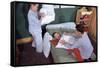 Siblings Having Pillow Fight-William P. Gottlieb-Framed Stretched Canvas