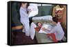 Siblings Having Pillow Fight-William P. Gottlieb-Framed Stretched Canvas