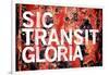 Sic Transit Gloria-null-Framed Photo