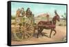 Sicilian Cart, Palermo, Italy-null-Framed Stretched Canvas