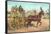 Sicilian Cart, Palermo, Italy-null-Framed Stretched Canvas