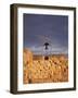 Sicily, Italy, Western Europe, a Small Chapel in the Port of Trapani-Ken Scicluna-Framed Photographic Print