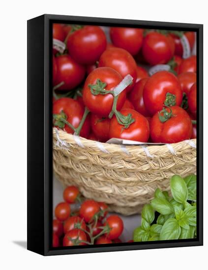 Sicily, Italy, Western Europe, Tomatoes and Basil, Staple Items in the Southern Italian Kitchen-Ken Scicluna-Framed Stretched Canvas