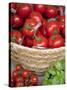 Sicily, Italy, Western Europe, Tomatoes and Basil, Staple Items in the Southern Italian Kitchen-Ken Scicluna-Stretched Canvas