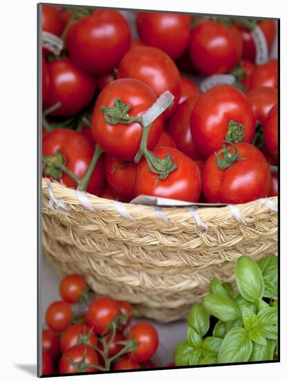 Sicily, Italy, Western Europe, Tomatoes and Basil, Staple Items in the Southern Italian Kitchen-Ken Scicluna-Mounted Photographic Print