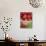 Sicily, Italy, Western Europe, Tomatoes and Basil, Staple Items in the Southern Italian Kitchen-Ken Scicluna-Photographic Print displayed on a wall