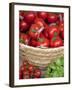 Sicily, Italy, Western Europe, Tomatoes and Basil, Staple Items in the Southern Italian Kitchen-Ken Scicluna-Framed Photographic Print