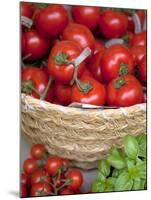 Sicily, Italy, Western Europe, Tomatoes and Basil, Staple Items in the Southern Italian Kitchen-Ken Scicluna-Mounted Photographic Print