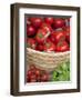 Sicily, Italy, Western Europe, Tomatoes and Basil, Staple Items in the Southern Italian Kitchen-Ken Scicluna-Framed Photographic Print