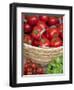 Sicily, Italy, Western Europe, Tomatoes and Basil, Staple Items in the Southern Italian Kitchen-Ken Scicluna-Framed Photographic Print