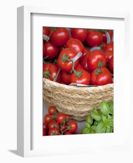 Sicily, Italy, Western Europe, Tomatoes and Basil, Staple Items in the Southern Italian Kitchen-Ken Scicluna-Framed Photographic Print