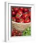 Sicily, Italy, Western Europe, Tomatoes and Basil, Staple Items in the Southern Italian Kitchen-Ken Scicluna-Framed Photographic Print