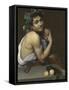 Sick Bacchus-Caravaggio-Framed Stretched Canvas