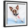 Sick Dog With Bandages Lying On Bed-Javier Brosch-Framed Photographic Print