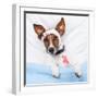 Sick Dog With Bandages Lying On Bed-Javier Brosch-Framed Photographic Print