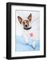 Sick Dog with Bandages Lying on Bed-Javier Brosch-Framed Photographic Print