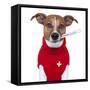 Sick Dog-Javier Brosch-Framed Stretched Canvas