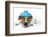 Sick Dog-Javier Brosch-Framed Premium Photographic Print