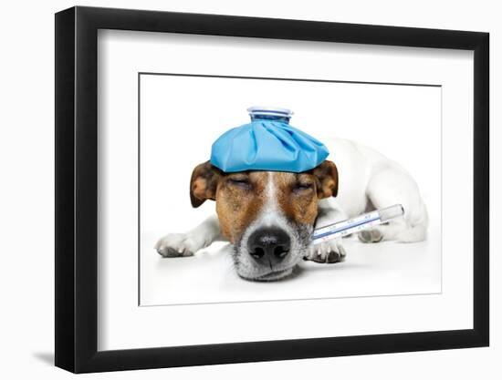 Sick Dog-Javier Brosch-Framed Premium Photographic Print