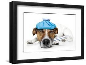 Sick Dog-Javier Brosch-Framed Premium Photographic Print