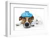 Sick Dog-Javier Brosch-Framed Premium Photographic Print