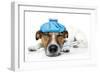 Sick Dog-Javier Brosch-Framed Photographic Print