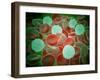 Sickle Cell Anemia with Red Blood Cells and White Bood Cells-null-Framed Art Print