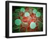 Sickle Cell Anemia with Red Blood Cells and White Bood Cells-null-Framed Art Print