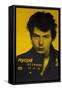 Sid Vicious II-David Studwell-Framed Stretched Canvas