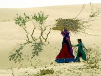 India Womens Day, Khushlawa, India-Siddharth Darshan Kumar-Laminated Photographic Print