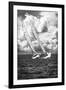 Side by Side BW-Alan Hausenflock-Framed Photographic Print