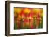 Side by side-Takashi Suzuki-Framed Photographic Print