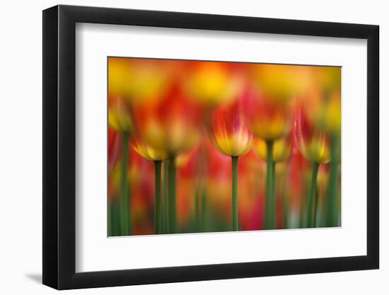 Side by side-Takashi Suzuki-Framed Photographic Print