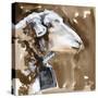 Side Eye Sheep I-Jennifer Parker-Stretched Canvas