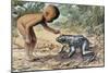 Side Profile of a Boy Looking at a Goliath Frog (Gigantorana Goliath)-null-Mounted Giclee Print