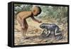 Side Profile of a Boy Looking at a Goliath Frog (Gigantorana Goliath)-null-Framed Stretched Canvas