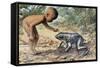 Side Profile of a Boy Looking at a Goliath Frog (Gigantorana Goliath)-null-Framed Stretched Canvas