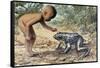 Side Profile of a Boy Looking at a Goliath Frog (Gigantorana Goliath)-null-Framed Stretched Canvas