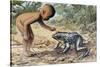 Side Profile of a Boy Looking at a Goliath Frog (Gigantorana Goliath)-null-Stretched Canvas