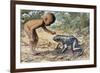 Side Profile of a Boy Looking at a Goliath Frog (Gigantorana Goliath)-null-Framed Giclee Print