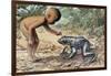 Side Profile of a Boy Looking at a Goliath Frog (Gigantorana Goliath)-null-Framed Giclee Print