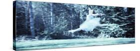 Side Profile of a Female Ballet Dancer-null-Stretched Canvas
