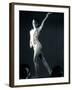 Side Profile of a Female Gymnast Posing-null-Framed Photographic Print