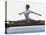 Side Profile of a Female Gymnast Stretching on a Balance Beam-null-Stretched Canvas