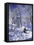 Side Profile of a Man Skiing-null-Framed Stretched Canvas