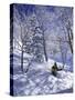 Side Profile of a Man Skiing-null-Stretched Canvas